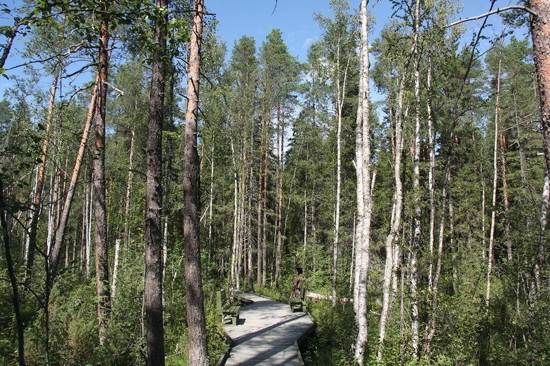 Глубокая Карелия: Костомукша