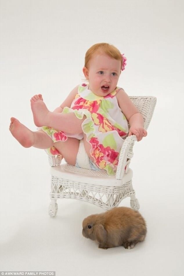 2. Эта маленькая девочка в ужасе: она не ожидала, что кролик на фотосессии окажется настоящим