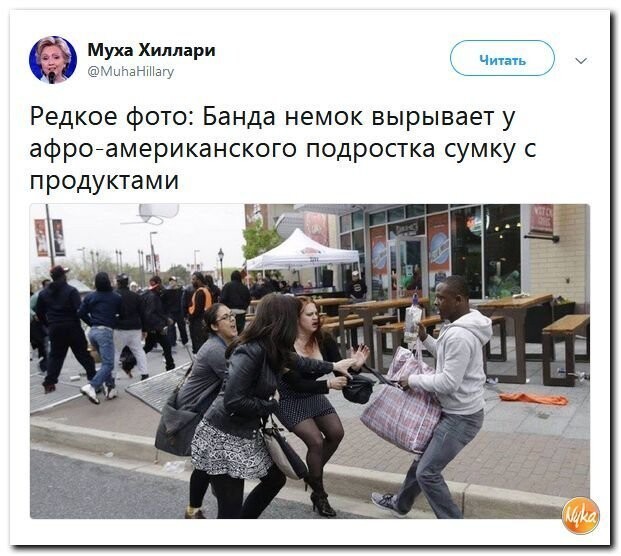 Политические коментарии соцсетей - 440