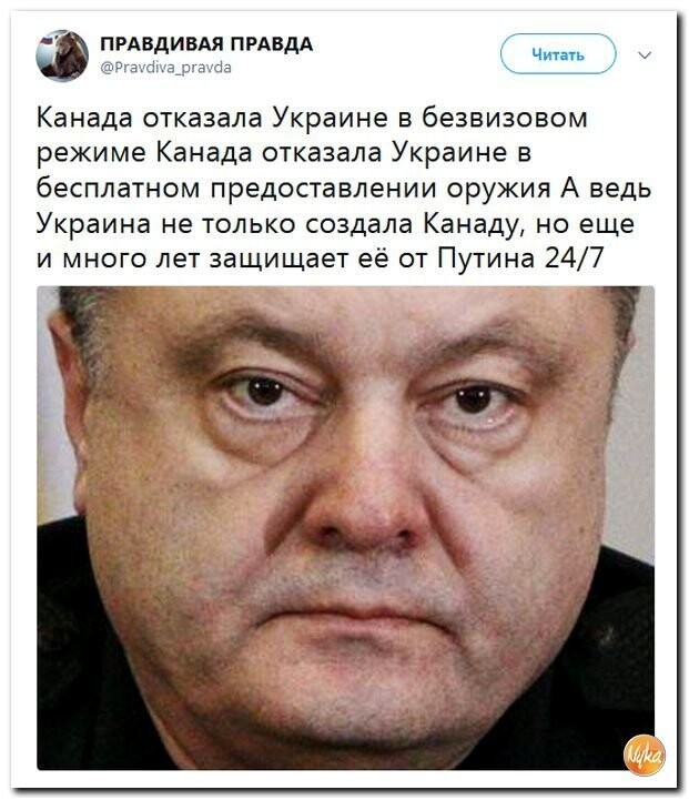 Политические коментарии соцсетей - 440