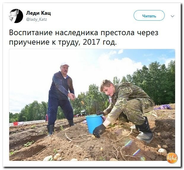 Политические коментарии соцсетей - 440