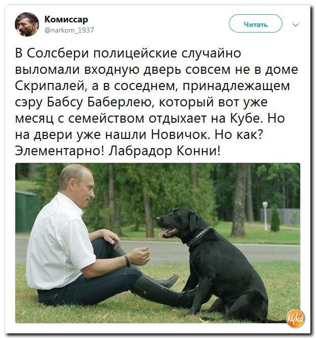 Политические коментарии соцсетей - 440