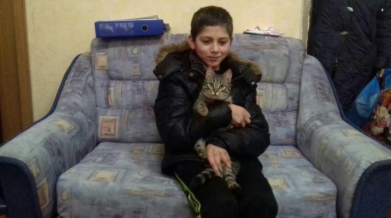 Бездомный кот спас потерявшегося мальчика в Калининградской области