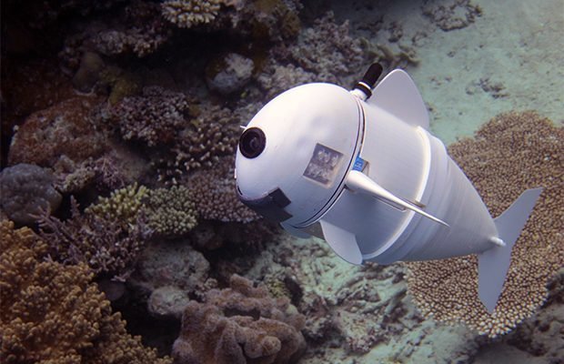В США создали реалистичную рыбу-робота