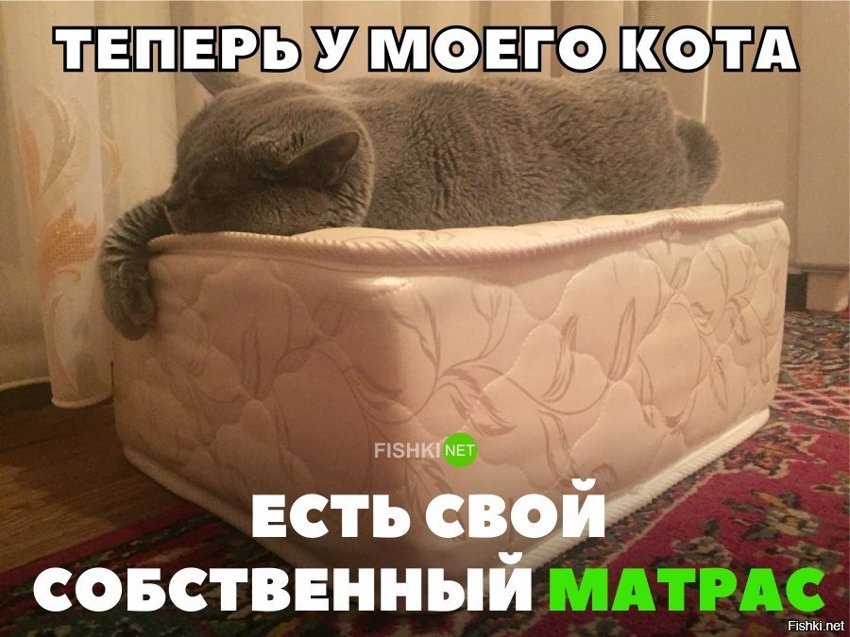 Матрас для кота
