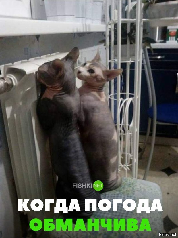 Когда погода обманчива