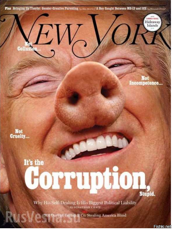 ​​В 501-й день президентства Трампа журнал New York Magazine превратил его в свинью