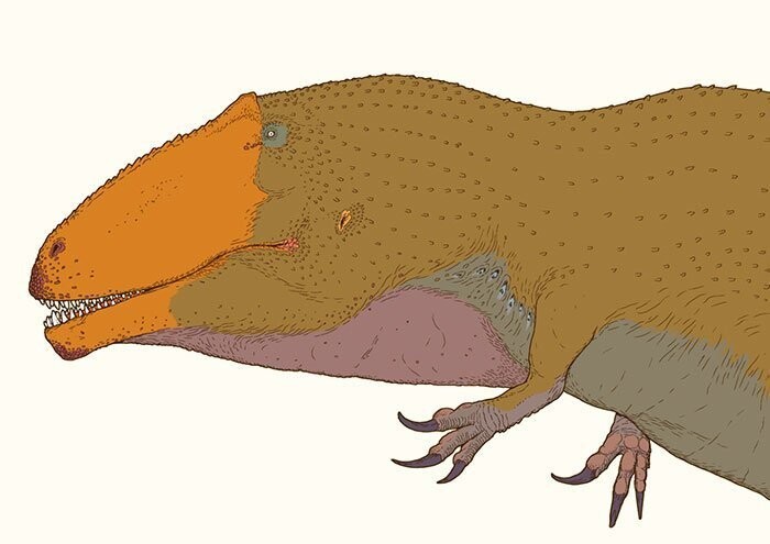 Гиганотозавр, гигантский хищник из Аргентины, обитавший в эпоху мелового периода 100-97 млн. лет назад