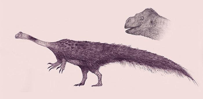 Растительноядный динозавр нижнего юрского периода, один из самых древних динозавров - Массоспондил