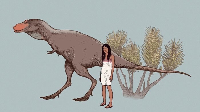 Альбертозавр, более мелкий родственник тираннозавра