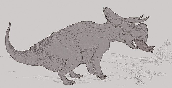 Nasutoceratops — род птицетазовых динозавров