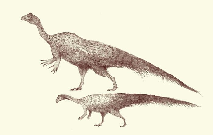 Платеозавр - крупнейший из известных динозавров триасового периода 6-12 метров в длину
