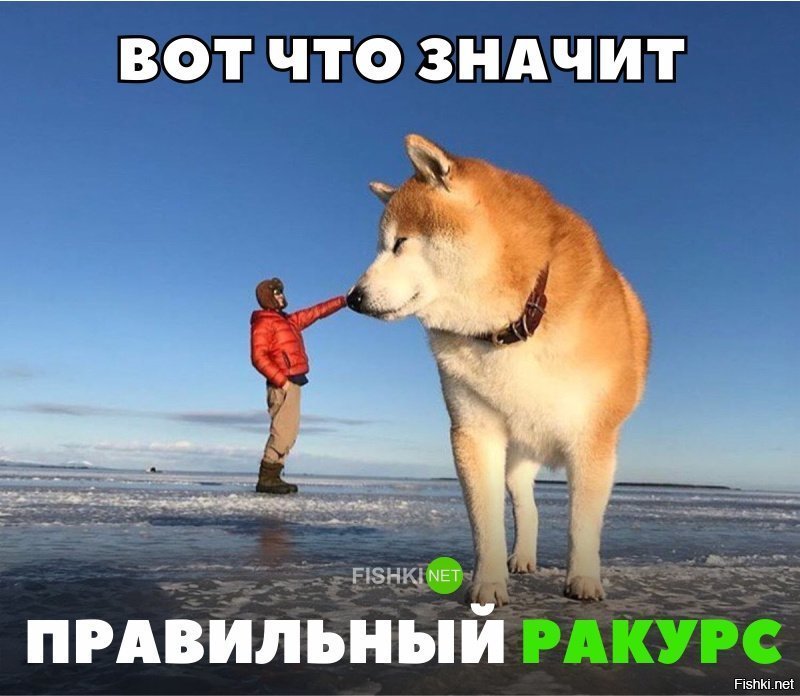 Вот что значит правильный ракурс