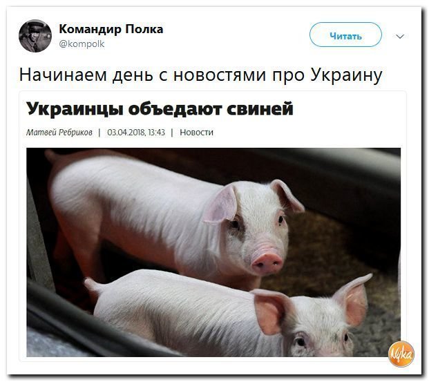 Политические коментарии соцсетей - 445