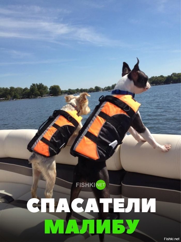 Спасатели