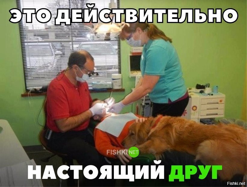 Настоящий друг