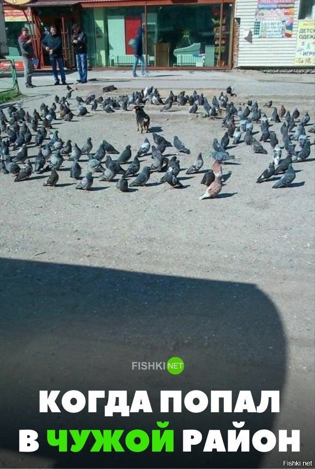 В чужом районе