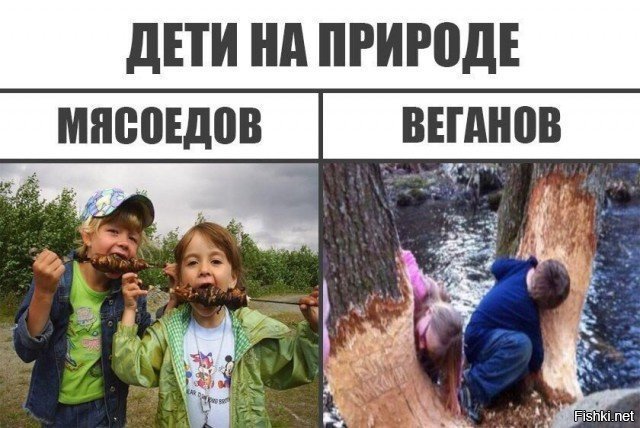 0e45a90af1241a35c14711e4d5f3d8dc.jpg