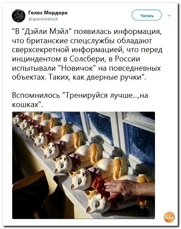 Политические коментарии соцсетей - 446