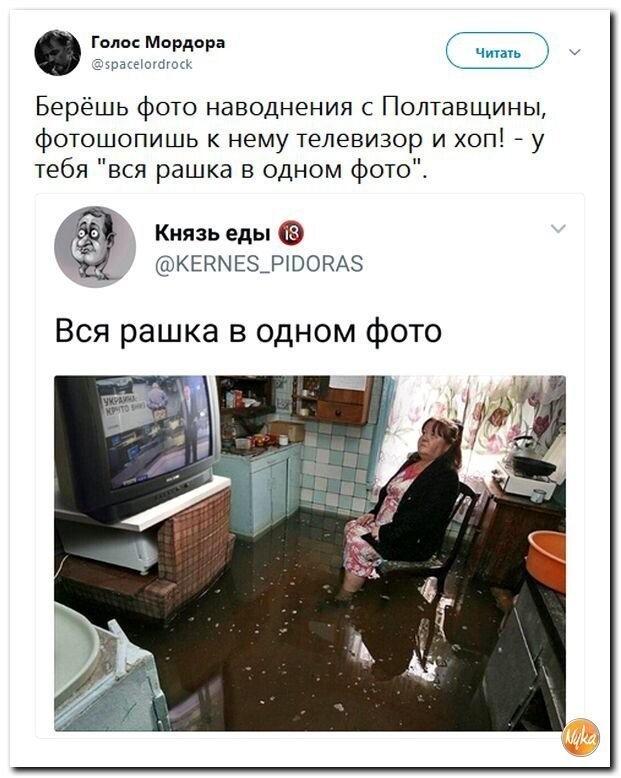 Политические коментарии соцсетей - 446