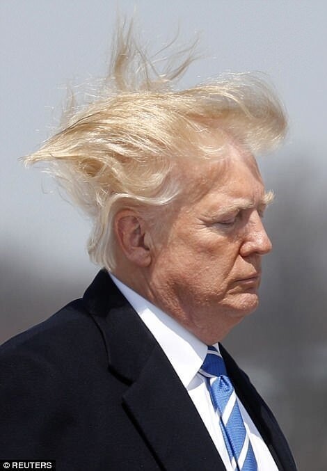 На этот раз, 5 апреля, Трамп вылетал в Западную Вирджинию на конференцию о налогах. Тогда фотографы и словили в объектив "улетающие" волосы президента.