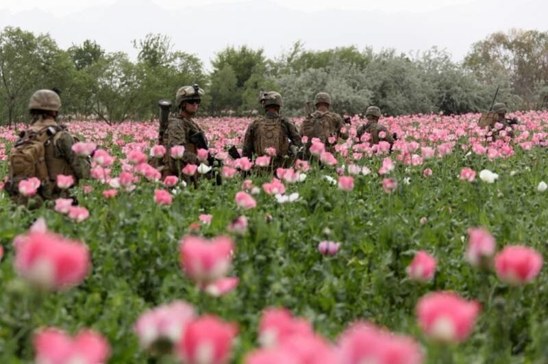 Афганский наркотрафик без границ