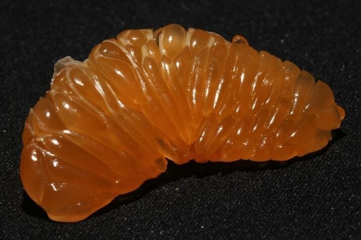 5. Очищенная от пленки долька клементина (гибрида мандарина и апельсина)