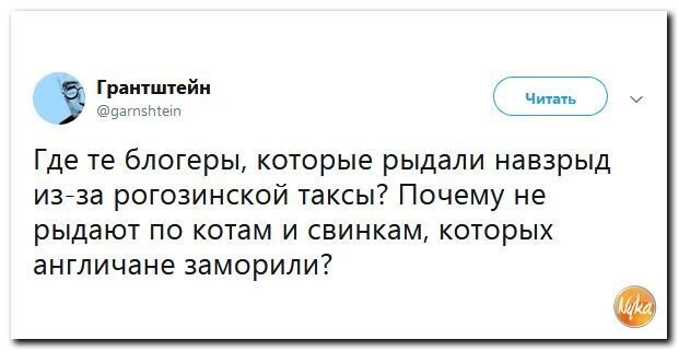 Политические коментарии соцсетей - 449