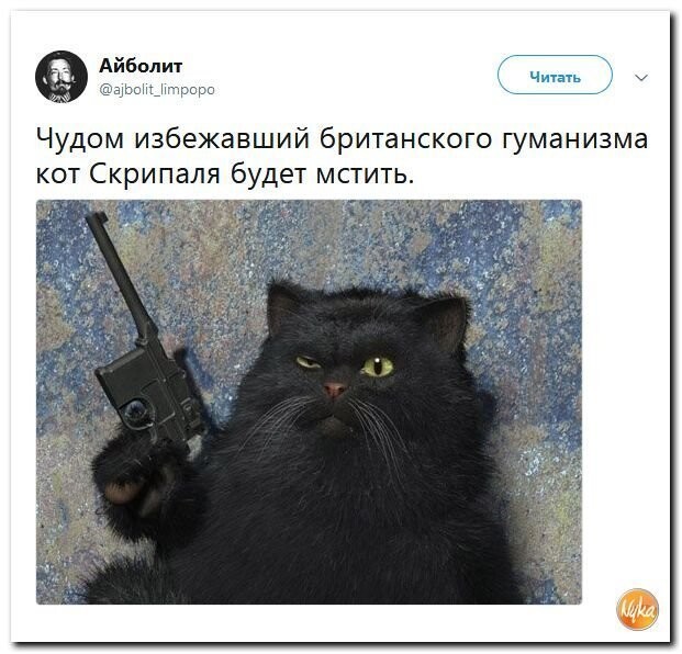 Политические коментарии соцсетей - 449