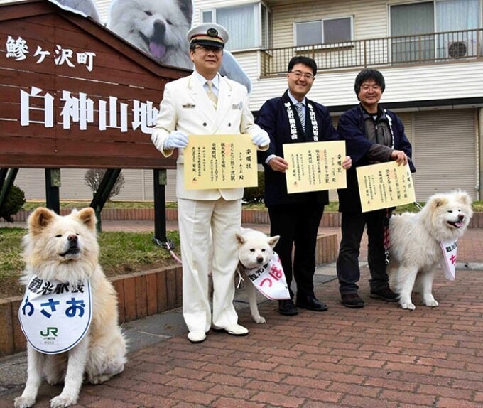 В Японии собачье семейство назначили работниками станции