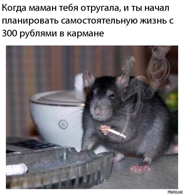 Политические коментарии соцсетей - 450
