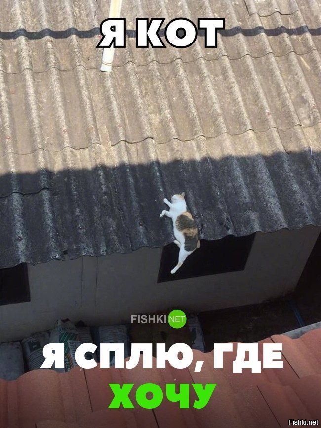 Сплю , где хочу