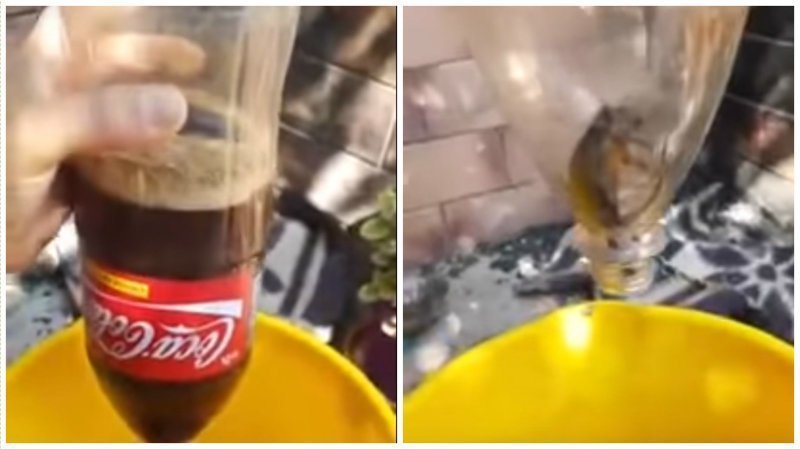 Парню попалась бутылка Coca-Cola с "бонусом"