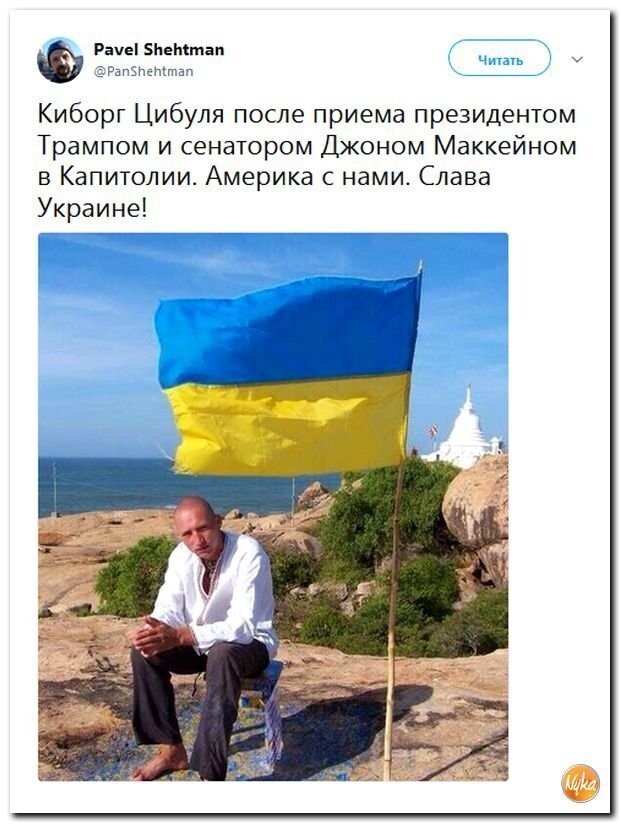 Политические коментарии соцсетей - 451