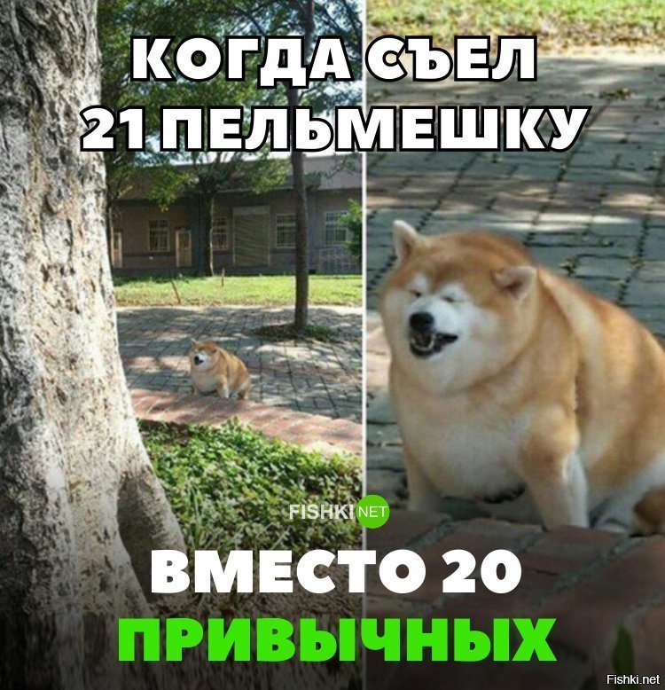 Жизненно