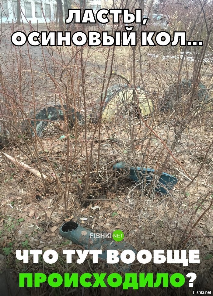 Что тут вообще происходило