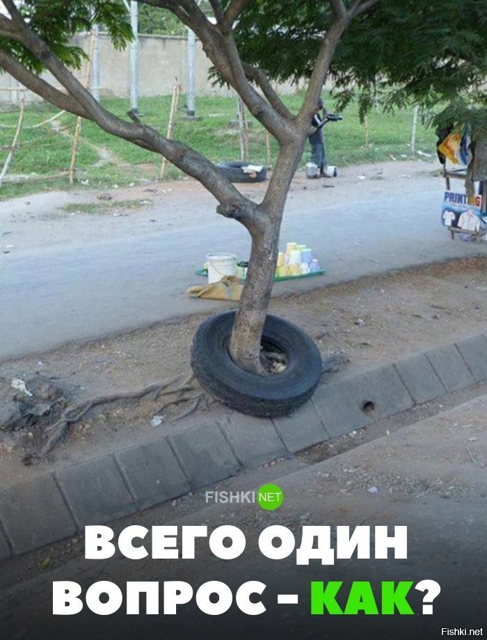 Всего один вопрос - как?