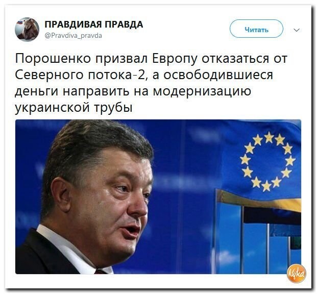 Политические коментарии соцсетей - 452