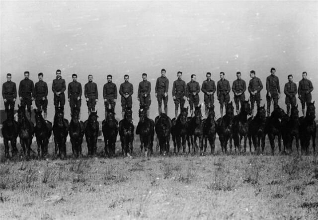 Британские кавалеристы на лошадях, 1919. 
