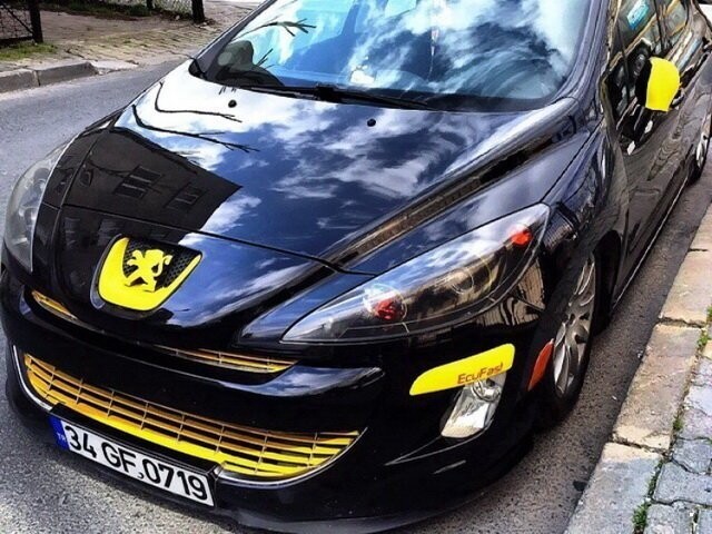 Автовсячина