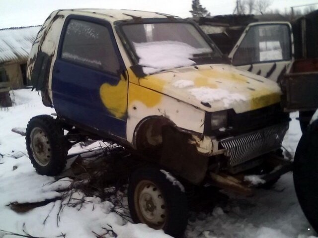 Автовсячина