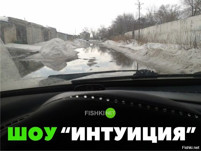 Шоу " Интуиция"