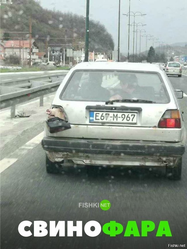 Свинофара