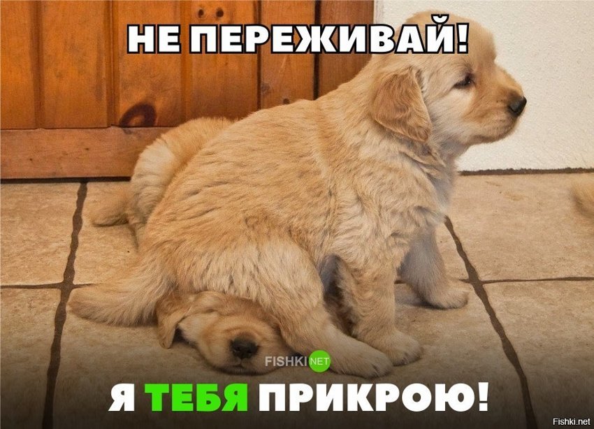 Брат за брата