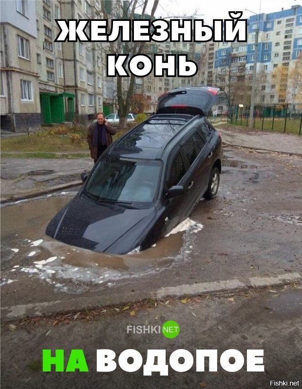 Конь на водопое