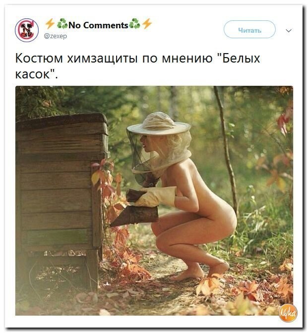 Политические коментарии соцсетей - 453