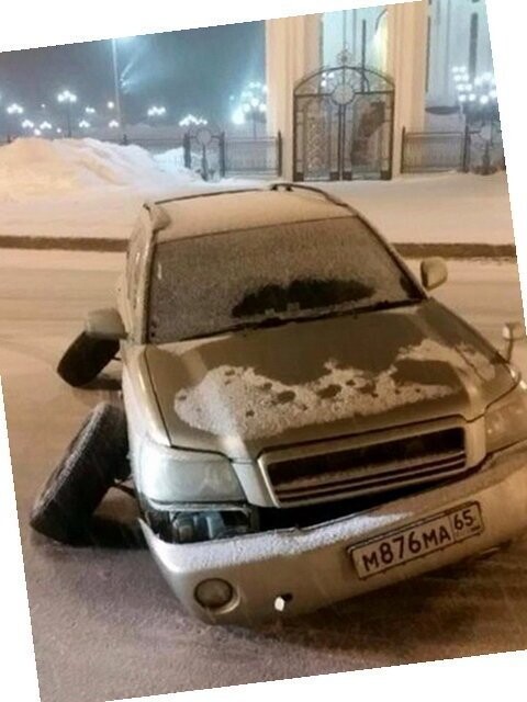 Автовсячина