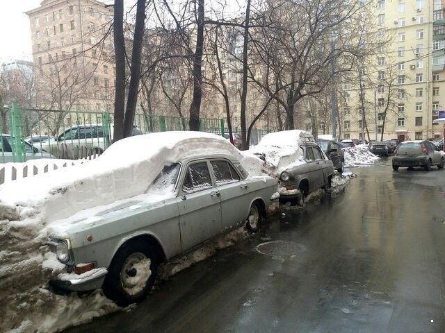 Автовсячина