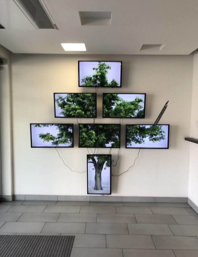 Дерево на экране