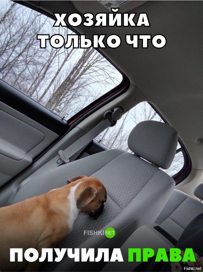 Опасность